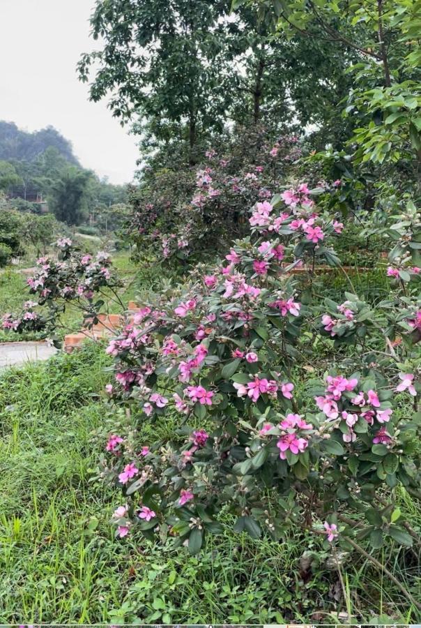 Riverside Homestay 高平 外观 照片