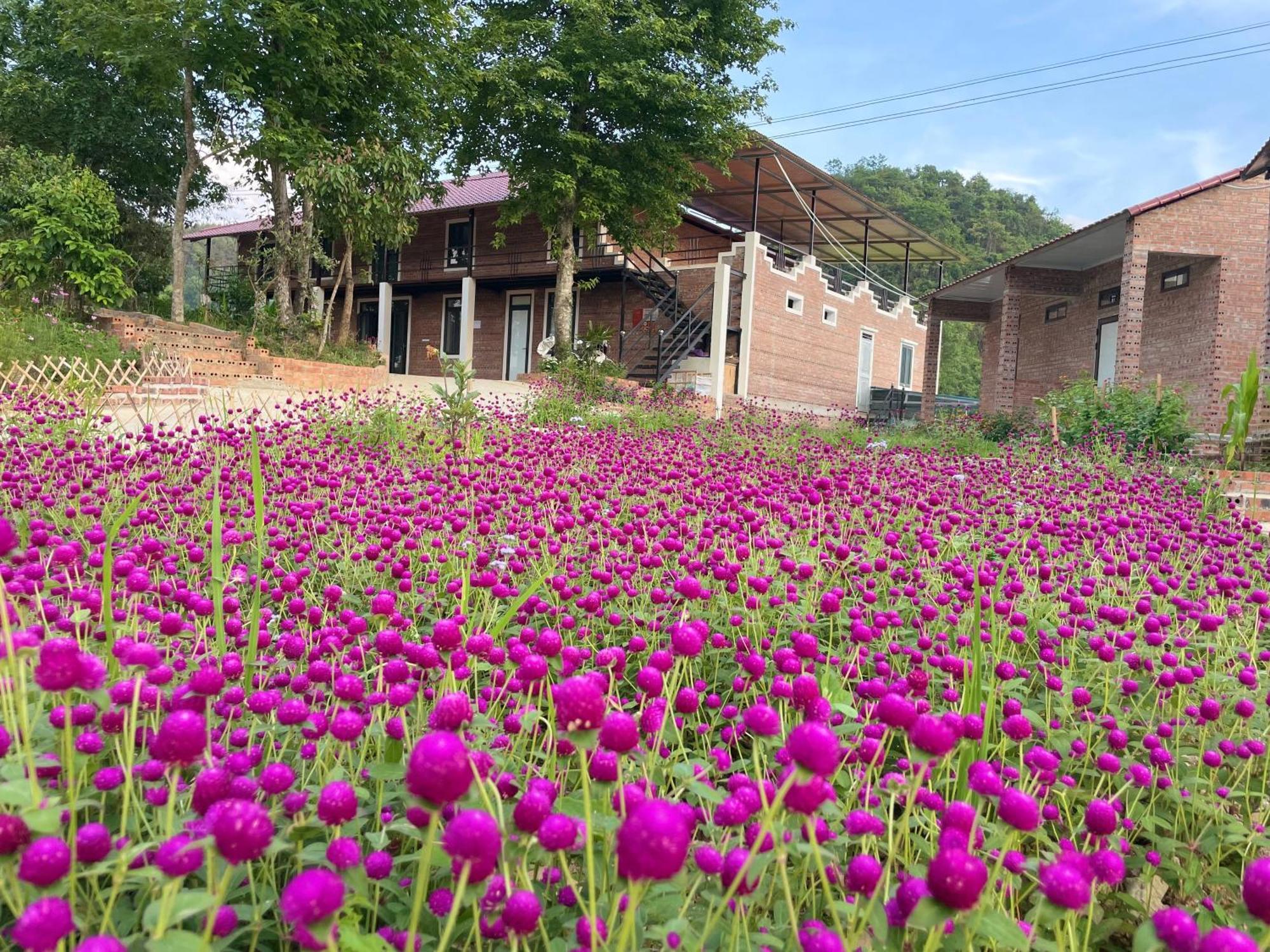 Riverside Homestay 高平 外观 照片